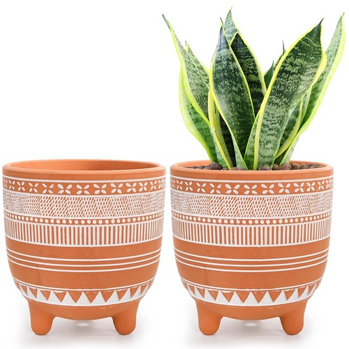Pack terracotta pots 6 inch - 6,