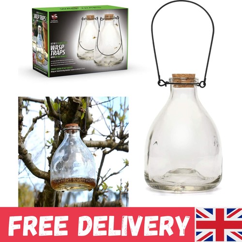 Set wasp trap catcher - of,