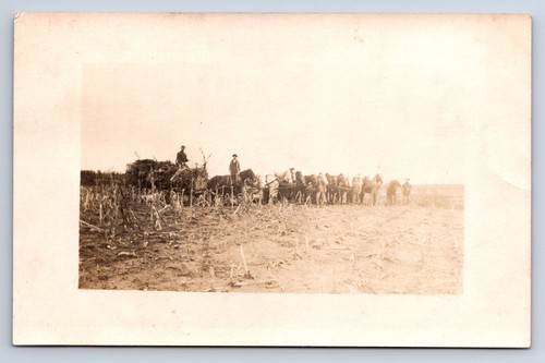 Vintage rppc farm scene horse - vintage,