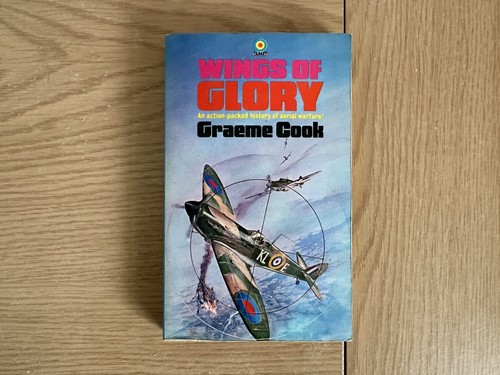 Vintage wings glory - vintage,