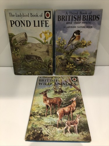 Vintage ladybird books pond - vintage,