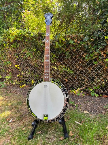 Ashbury 5 string banjo - ab-45-5,