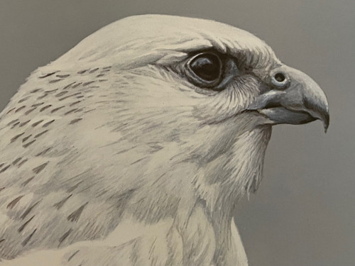 Robert bateman limited - bateman,