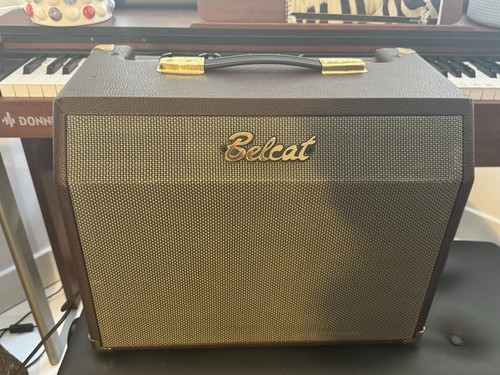 Belcat acoustic 25c chorus - belcat,