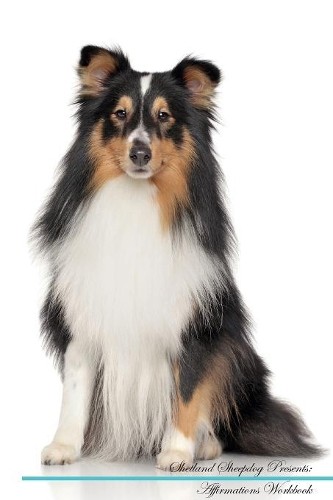 Shetland sheepdog affirmations - sheepdog,