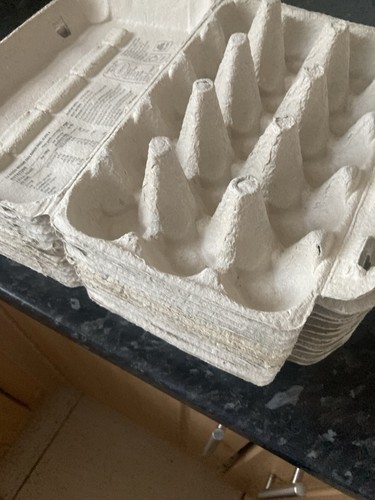 Egg boxes 10x15 - egg,