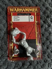 Warhammer Fantasy Orc & Goblin