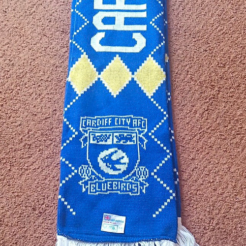 Cardiff city football - cardiff,