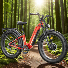 Freesky M540 Electric Bike
