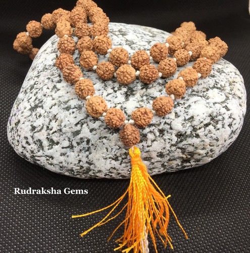 Rudraksha 7mm untreated japa - 7mm,