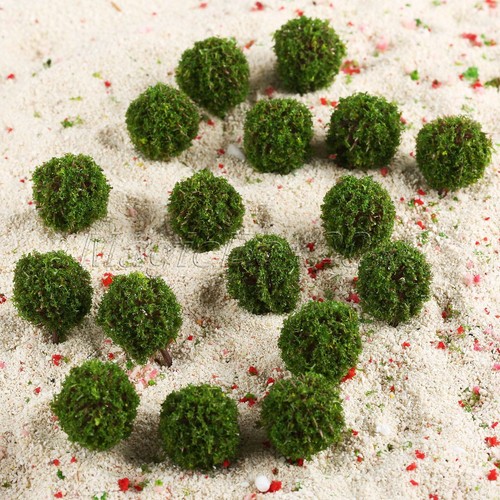 35mm landscape scenery - landscape, topiary