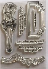Vintage phrases bum look big etc Acid Drops & Whatnots clear stamp set
