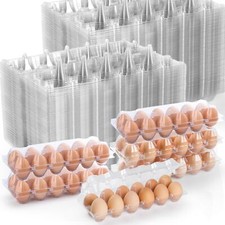 80 Pack Empty Plastic Egg