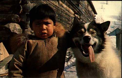 Boy dog lead - boy,