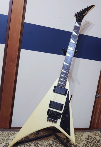 Fernandes 100 modified - fernandes,