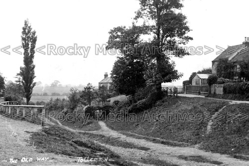 Vnn the old way tollerton - old,