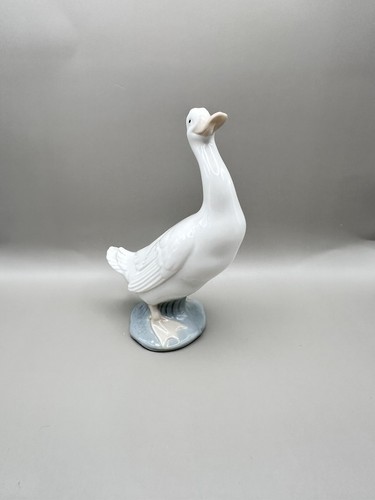 Nao duck goose - nao, head