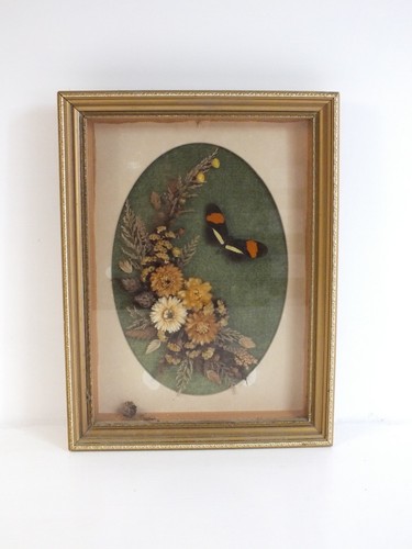 Vintage framed dried - vintage, &