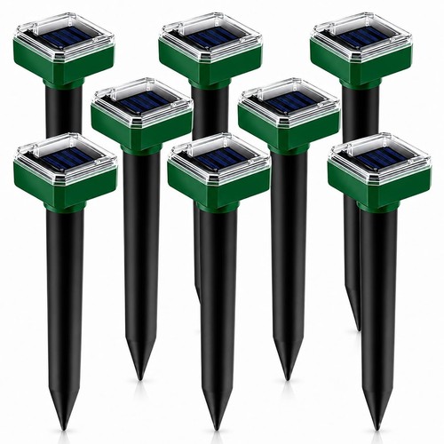 2026 8pack mole - 2026,