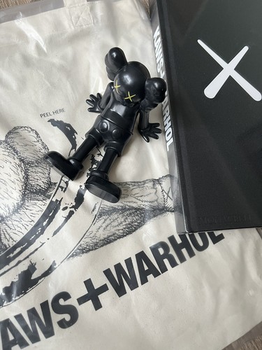 Kaws andy warhol - book, +