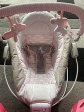 Ingenuity Flora Baby Bouncer