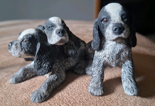 Spaniel beagle puppy trio - spaniel/beagle,