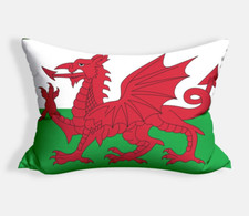 Wales Flag Welsh Dragon Custom