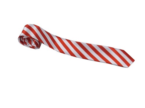 Adult striped tie schoolboy - tie,