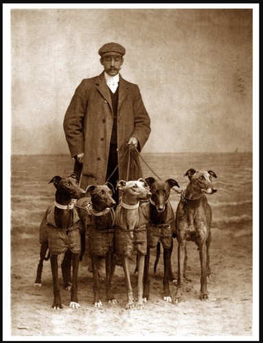 Greyhound man and dogs - dogs, vintage