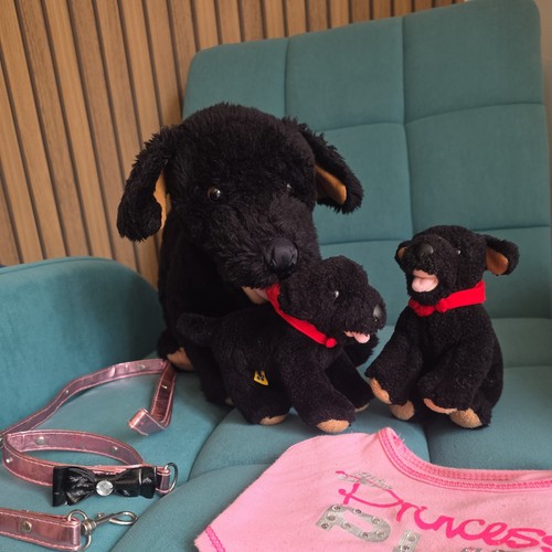 Build bear large black - build,