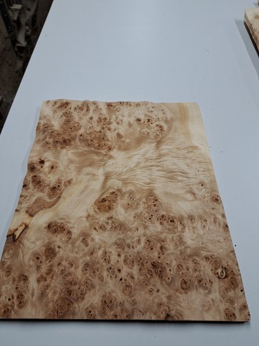 Poplar burr veneer - poplar, 1