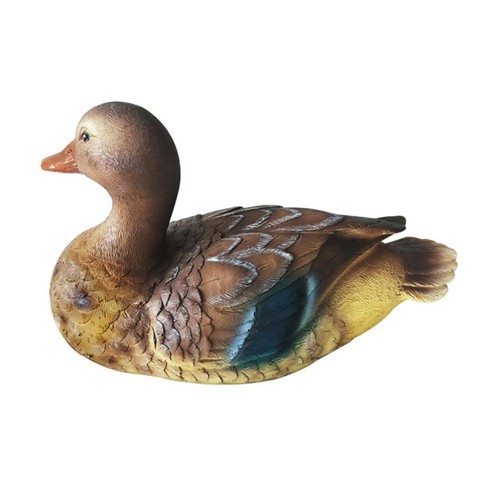 Floating mandarin duck - floating,