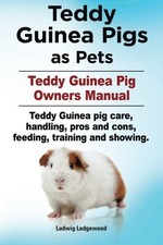 Teddy Guinea Pigs as Pets