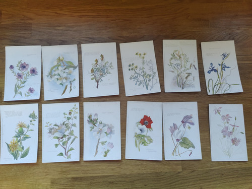Complete set flowers - set, of