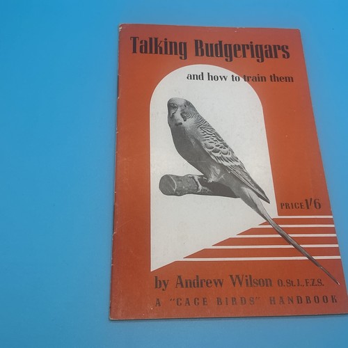 Talking budgerigars and - budgerigars,