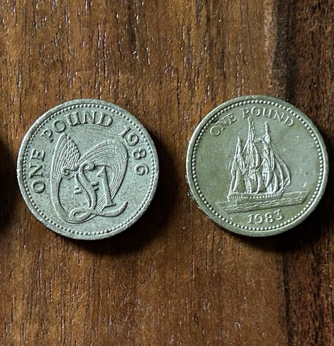 Guernsey one pound coins - one,
