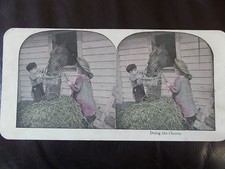 c.1895 DELIGHTFUL COLOUR 3d