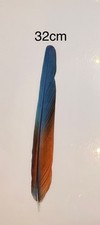 Parrot Macaw Feather Crafts