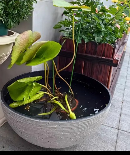 Planters set imitation stone - set,