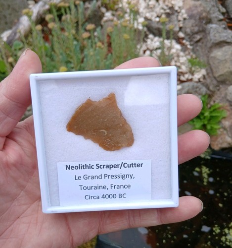Neolithic tool scraper