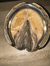 antique horse Hoof - Assurance 1912