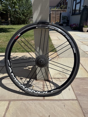 Campagnolo eurus 700c - eurus, bike