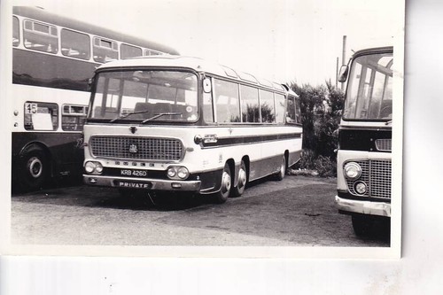 Blue bus services - blue, /