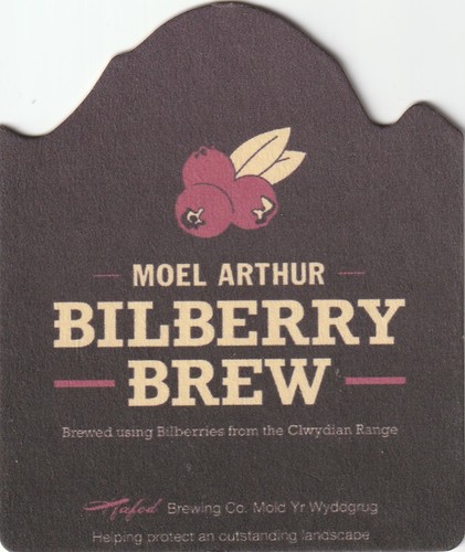 Beer mat hafod - beer, bewing