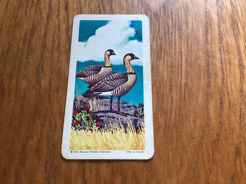 Brooke bond canada tropical - bond,