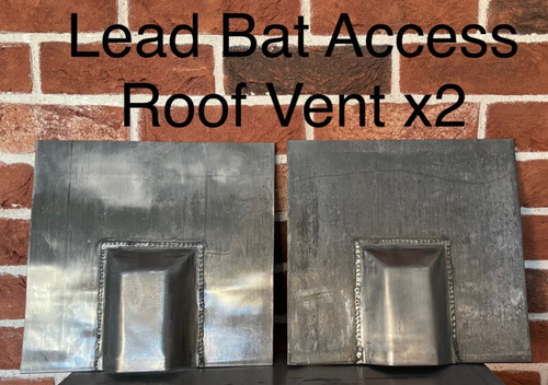 Lead bat access - access, vent