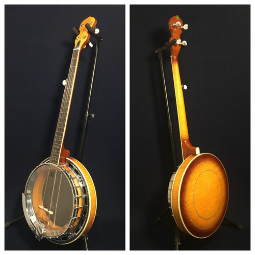 Caraya 009a string resonator - caraya,