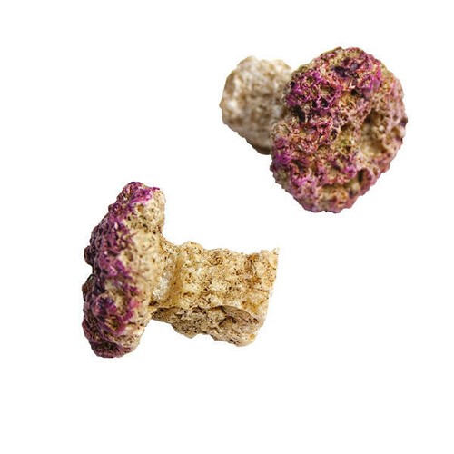 Tmc natureform coral frag plug - frag,