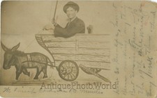 Smiling man in fake donkey