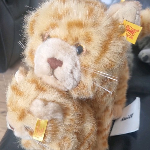 Steiff mitzy cat with - cat,